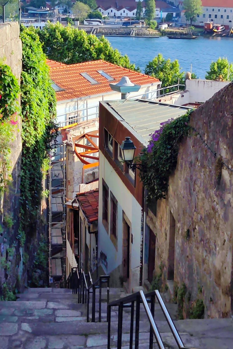 RIBEIRA 6 CAMINHO NOVO