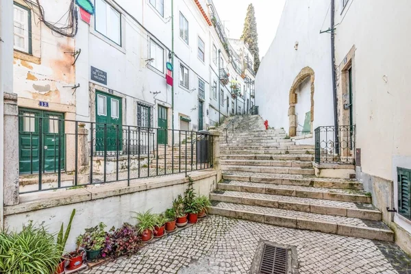 ALFAMA FREE TOUR BECO DO GARCÊS