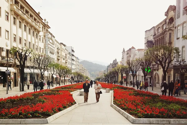 Free Tour Braga