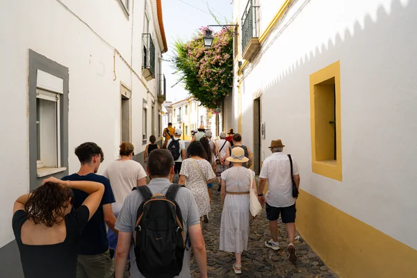 Évora Free Tour Enclosed Houses